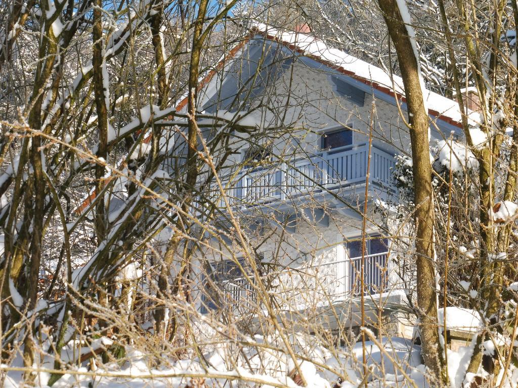 Ferienwohnung Regentalblick Miltach Eksteriør bilde